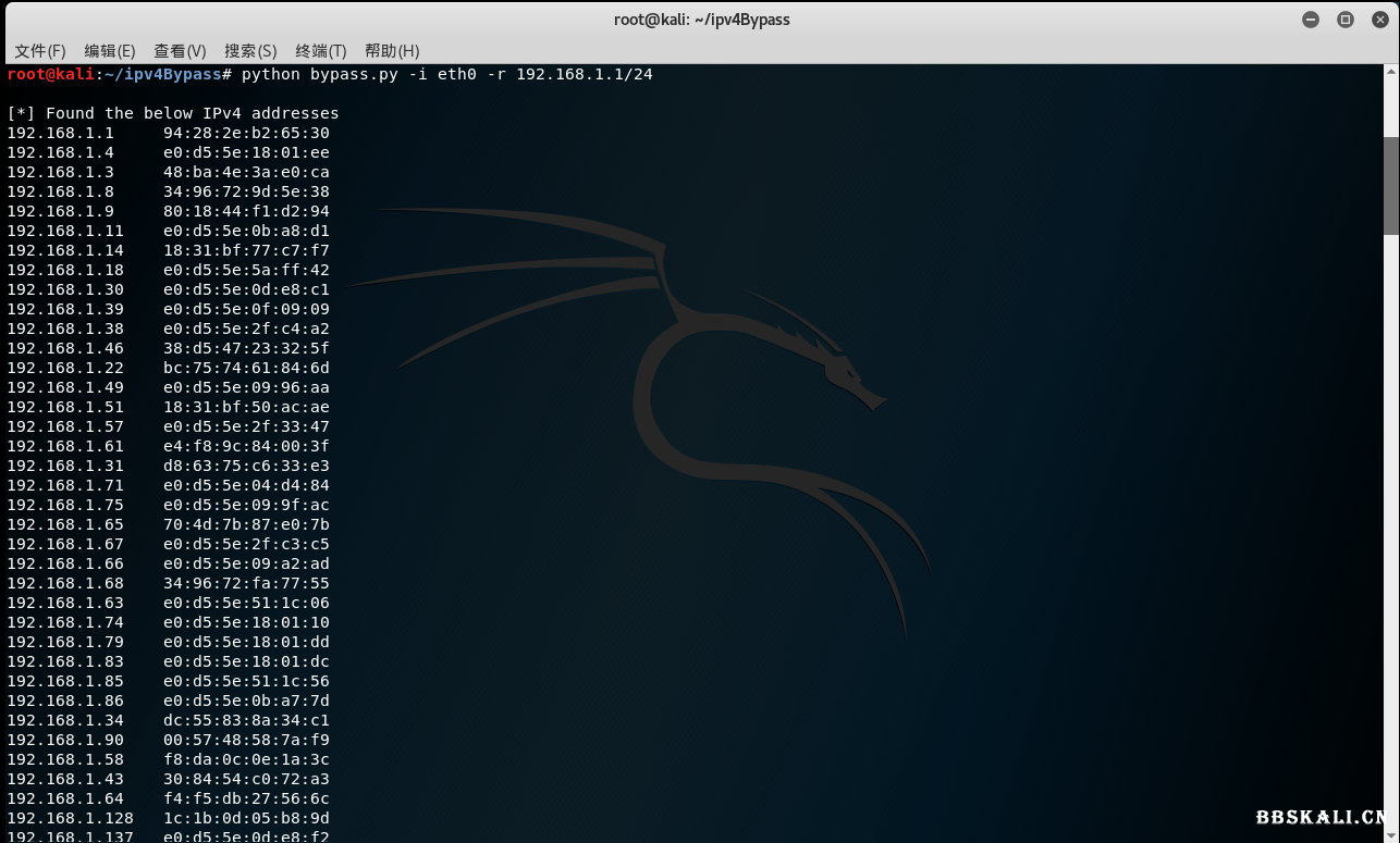 ipv4Bypass.png
